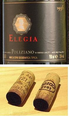 ELEGIA