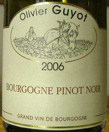 AC BOURGOGNE OLIVIER GUYOT